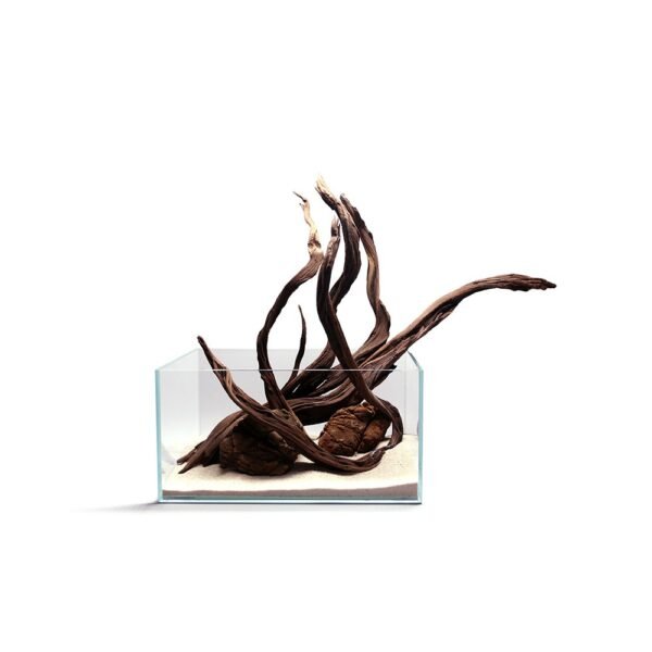 Black Flame Kök - Görsel 3