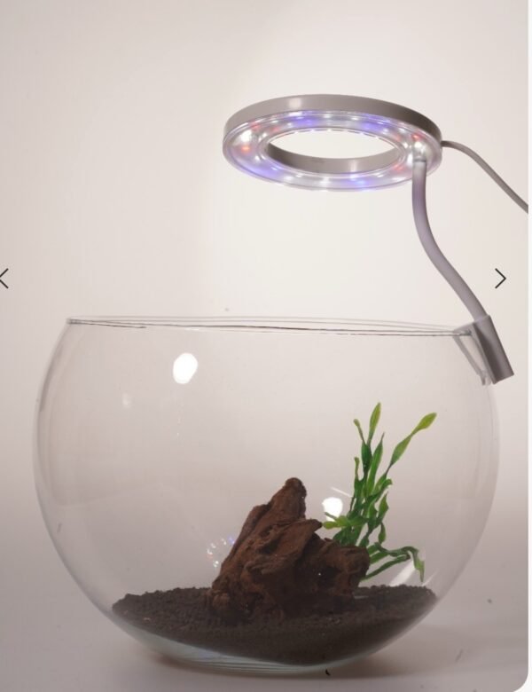 OrionLed Fanus & Nano Akvaryum Led Aydınlatma Spiral ( Ghoosneck ) 5v