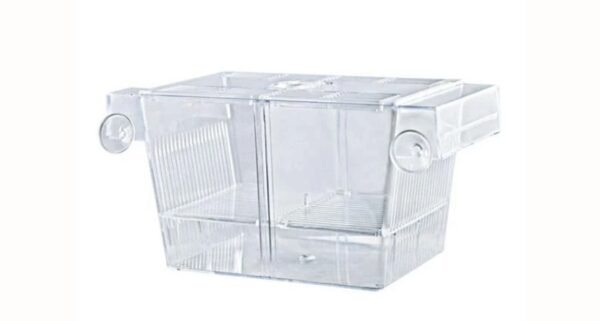 Aquawe Çiftli Yavruluk - Görsel 2